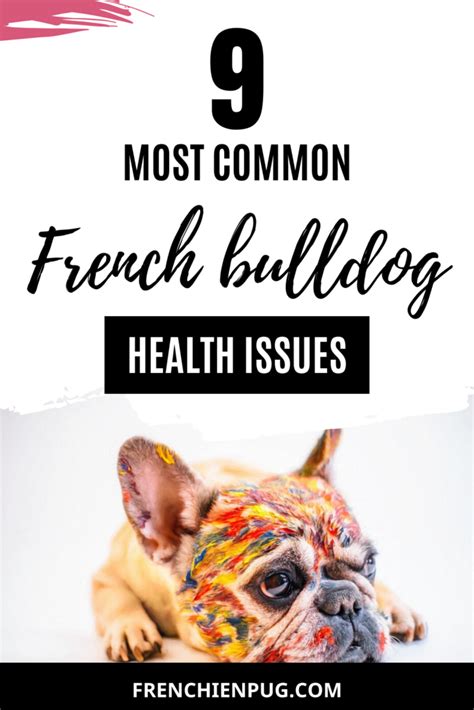 Is your french bulldog dealing with separtion anxiety when you leave them home alone? 9 Most Common French bulldog health issues | French ...