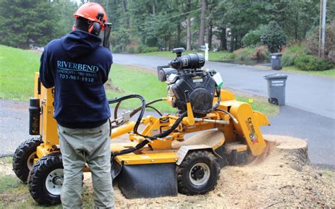 What Is Stump Grinding Riverbend Landscapes And Tree Service