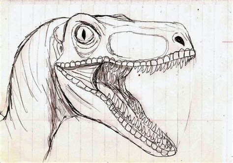 Jurassic Park 3 Raptor Drawing Jurassic Park Tyrannosaurus Rex