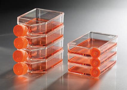 Flasks for adherent or suspension cells and specialty surfaces or large scale flasks. Corning Cell Culture Flasks