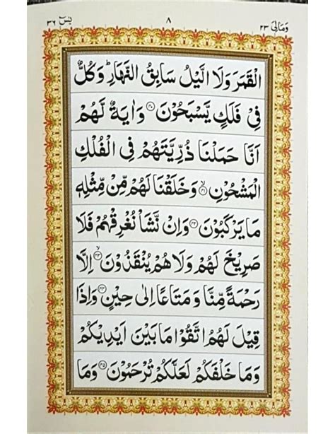 Surah Yaseen Arabic Only