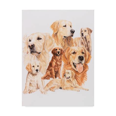 Trademark Art Golden Retriever Collage Oil Painting Print On Wrapped