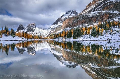 Autumn Scenery In Rocky Mountains Lake Ohara Yoho Natio Flickr
