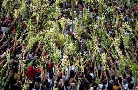 Palm Sunday 2017 Christians Around The World Mark The Start Of Holy Week