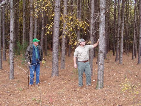 Landowner Resources | Georgia Forestry Commission