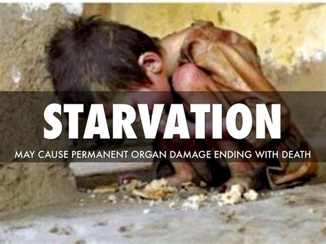 Starvation By Julia Hanson