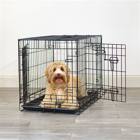 The Top 10 Medium Sized Dog Crates To Keep Your Pup Safe And Happy A