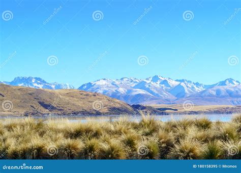 Grass Field With Mountain View Background Lake Tekapo New Zealand