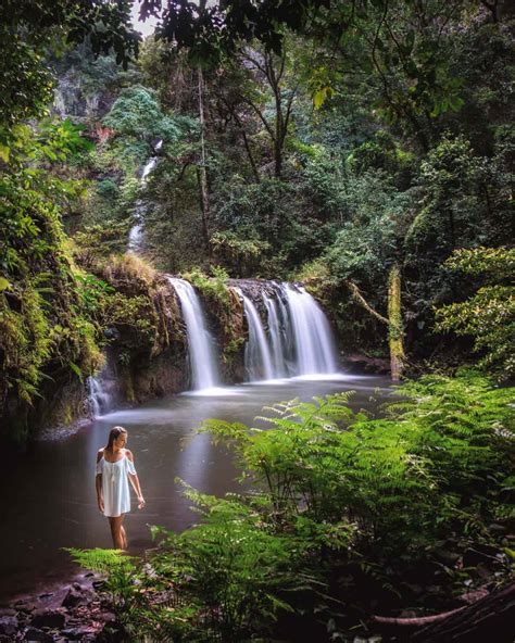 Best Waterfalls Near Cairns 17 Waterfalls You Have To See ⋆ We Dream Of Travel Blog