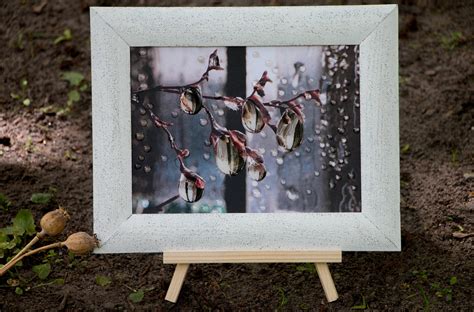 picture pussy willow branches in a wood frame with 3d effect etsy