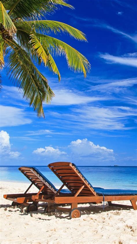 Palmen Paradies Strand Liegestuhl Meer Sommer Tropisch 3840x2160