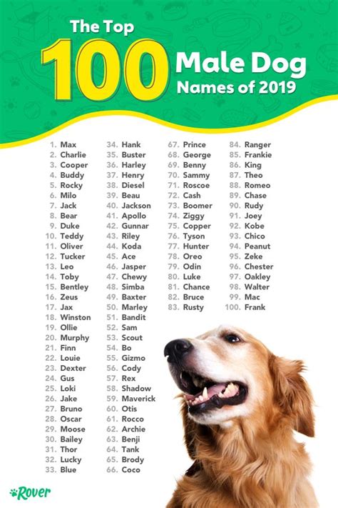 Most Popular Dog Names In The Usa Dog Names Dog Names Male Cute
