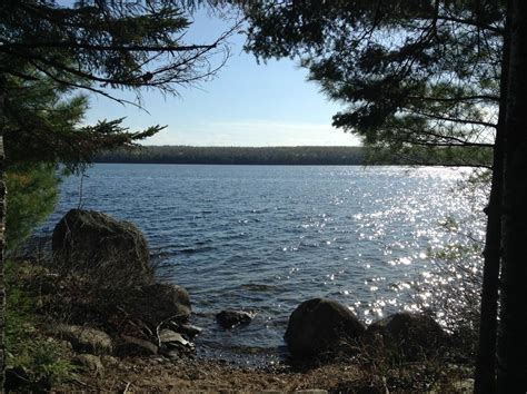 Branch Lake Public Forest Maine Trail Finder