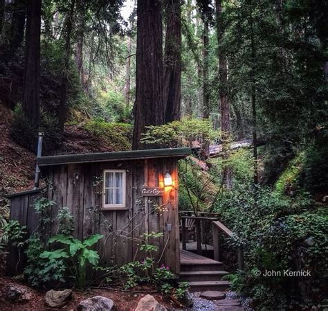 Cabin Among The Trees In Big Sur Cottage Cabin Old Cottage Dream