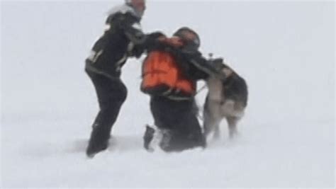Snow Rescue Dogs Go Through Rigorous Training In The Alps