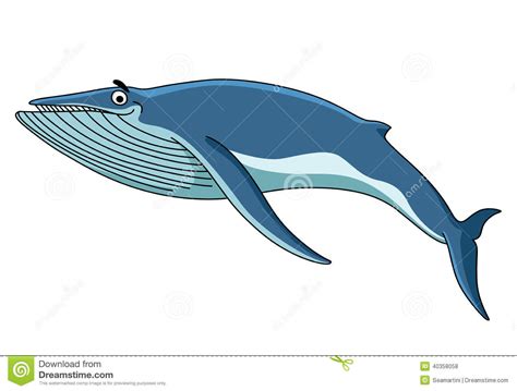 Cartoon baleen whale character with blue spine and striped white underside swimming with playfully raised tail and happy. Big blue baleen whale stock vector. Illustration of ...