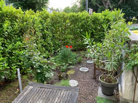Aktuelle wohnungen in köln (lindenthal) 12. zweizimmer Wohnung mit traumhafter Oase - Wohnung in Köln ...