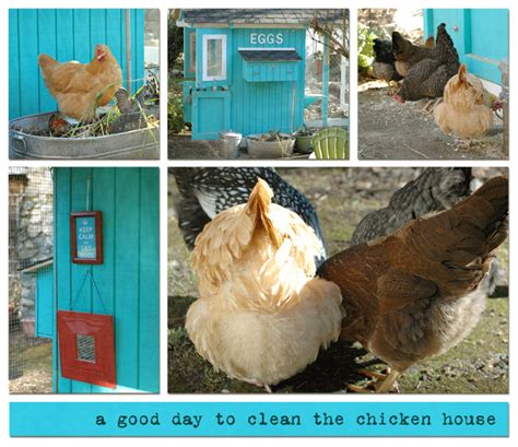 Chicken coop plans pdf modern chicken house plans digital hen house coop plans file instant dowload chicken coop run plans backyard. Bluebetweens Chicken Coop | BackYard Chickens - Learn How ...