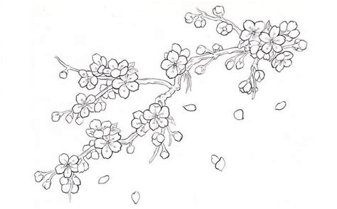 Gambar Sketsa Bunga Yang Mudah