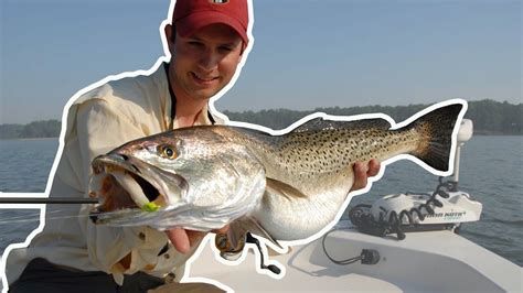 Live Chumming For Big Gator Speckled Trout How To Catch Gator Trout