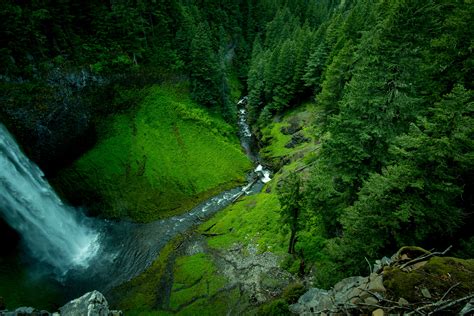 Free Images Tree Nature Waterfall Wilderness Wood River Stream Green Jungle Aerial
