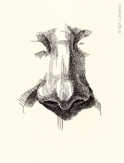 You can hold your hand in the air or while resting it alternate between vertical and horizontal hatching, drawing the same number of strokes for each to. Drawing a Realistic Human Nose
