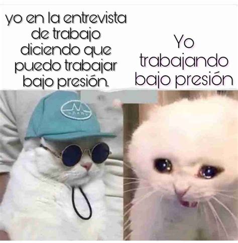 Yo en la entrevista de trabajo diciendo que puedo trabajar bajo presión