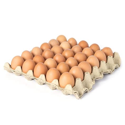 Hasta que incuben, el huevo será etiquetado como un huevo de criatura desconocido, cambiando para que se empareje con el nombre de la criatura del huevo una vez haya terminado su. 1 Cubeta de huevos A - Merque Soacha