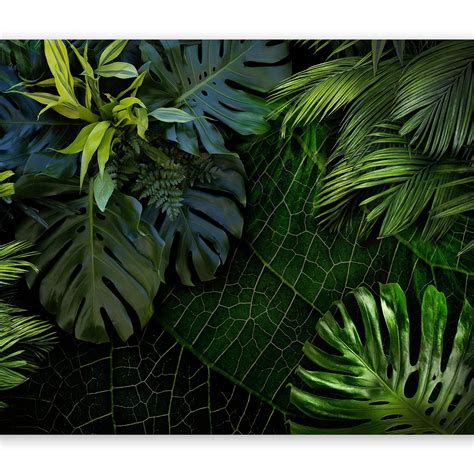 Murando Papier Peint Intissé Feuilles Tropicales Monstera 350x256 Cm D