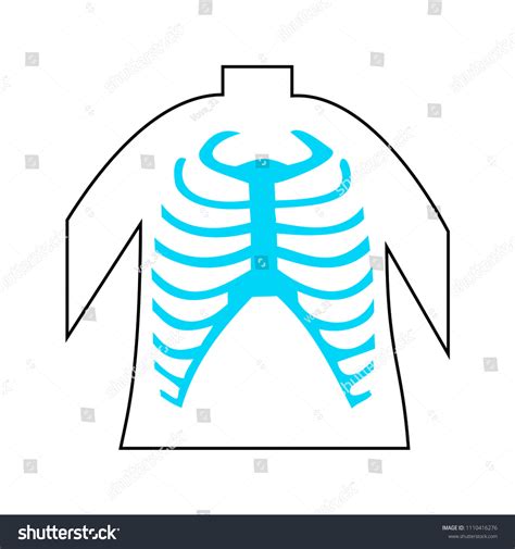 Heart kidneys lungs liver stomach anathomy cartoon vector pictures collection. Stomach Ribs Lungs Picture - Ribcage And Heart Medical Images For Power Point / Use them in ...