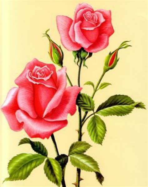 Baú De Figuras Imagens De Flores Rosas Para Decoupage