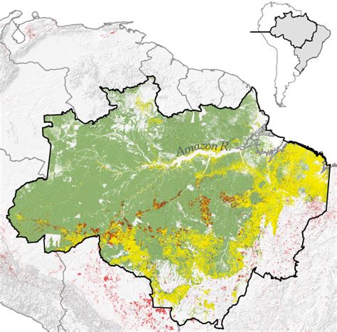 Deforestation Before And After Map