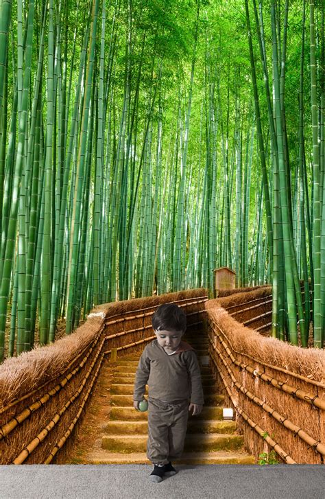 Bamboo Forest Wall Mural 6043