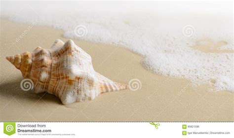 Soft Wave With Foam And Seashell On The Sandy Beach Stock Photo
