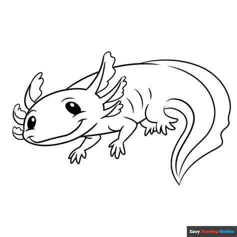 Axolotl Coloring Page Easy Drawing Guides