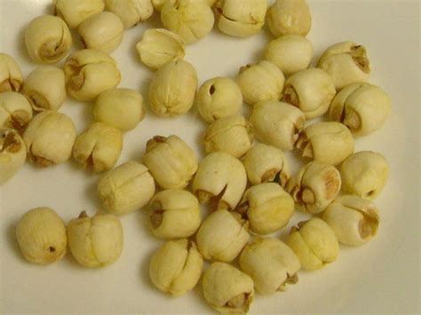 We did not find results for: Lotus seed - Wikipedia