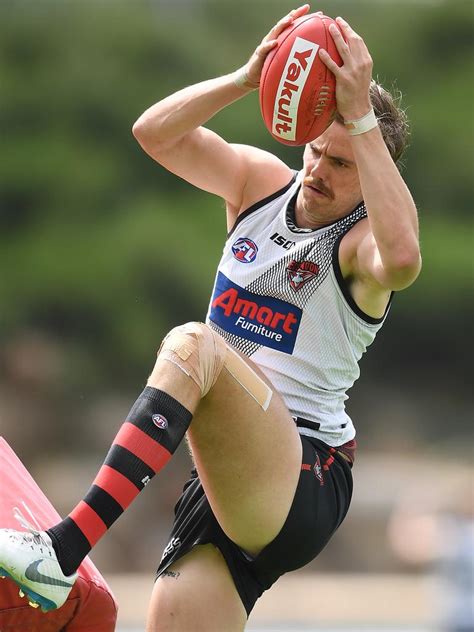 Supercoach Afl 2019 Joe Daniher Essendon Jonathan Brown Column Pre Season Jlt Series Scouting