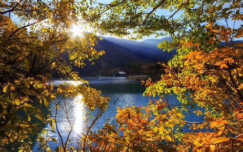 Japan Nikko Tochigi Mountain Lake Trees Sun Rays