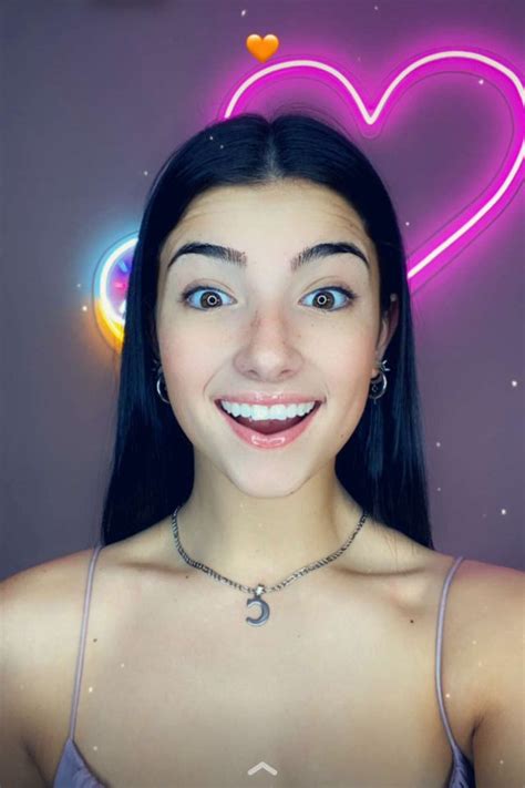 Charli and sister dixie may be getting their own reality showcredit: Pin auf Tik Tok guys