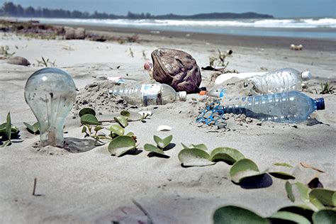 The Environmental Impact Of Plastic Water Bottles And All You Need To