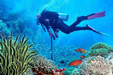 Scuba Diving In Goa Goa Tour Packages