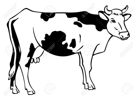 Dessin Vache ~ Coloring Pages