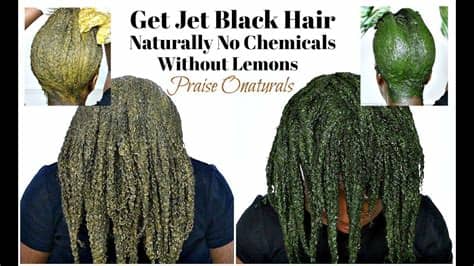 Depends on hair health and previous coloring process. How To Dye Hair Black/Jet Black Naturally With Amla Henna ...