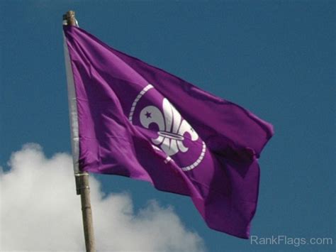 World Organization Of The Scout Movement Flag