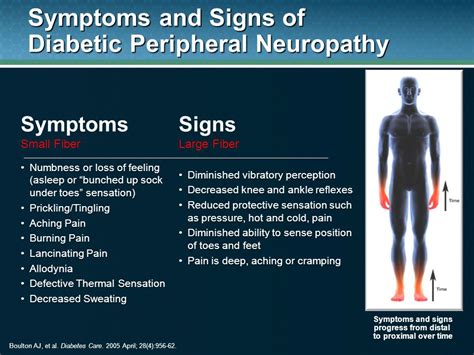 Common Causes And Symptoms Of Neuropathy Neuropathy And Hiv Hot Sex Picture