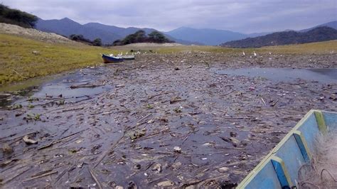 Día clave para la renovación de torrico en san lorenzo (3:23). Piura: Ciudadanos reportan muerte repentina de peces en la ...