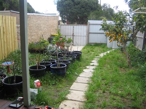 And, in the true spirit of permaculture, i'm getting ready to move on to the next garden somewhere, to see if i can design a little more life into a garden somewhere! Three Part Plot: Permaculture Design: Northcote