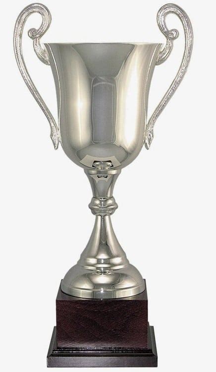 105 Series Silver Trophy Cups Free Engraving And Shipping