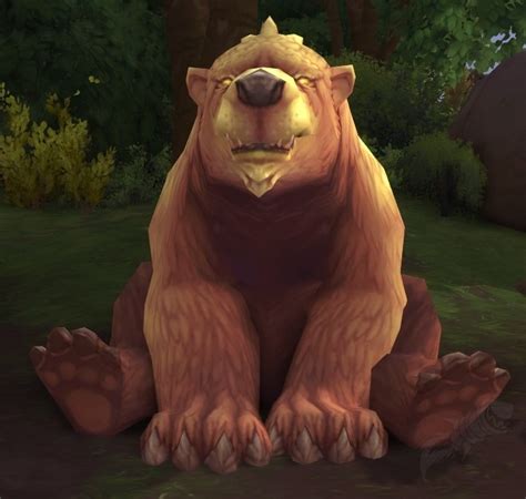 Honey Bear NPC World Of Warcraft