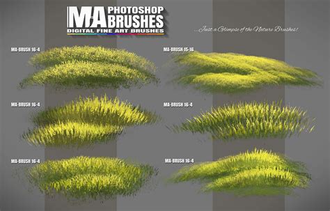 Concept Art And Photoshop Brushes Photoshop Foliage Grass Tree